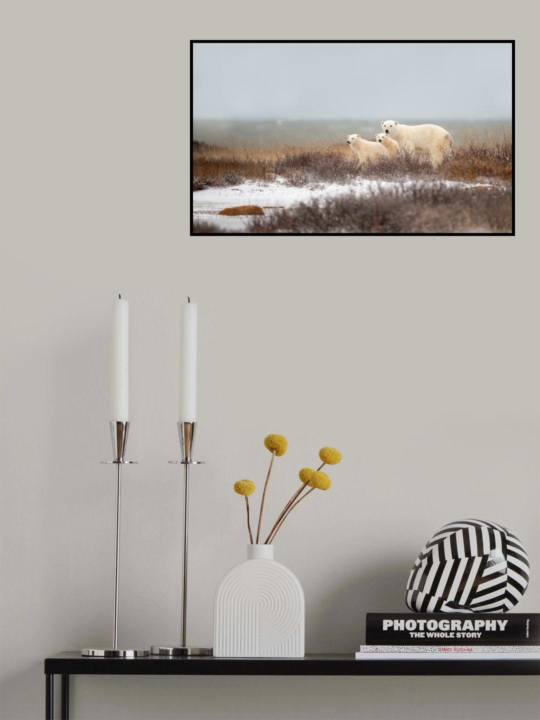 walking on the shore Poster och Canvastavla