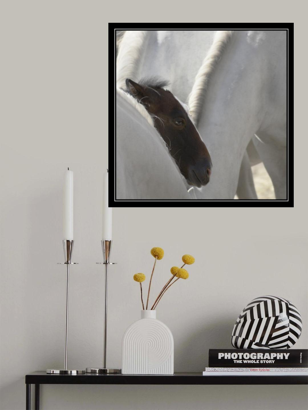 Shelter Poster och Canvastavla