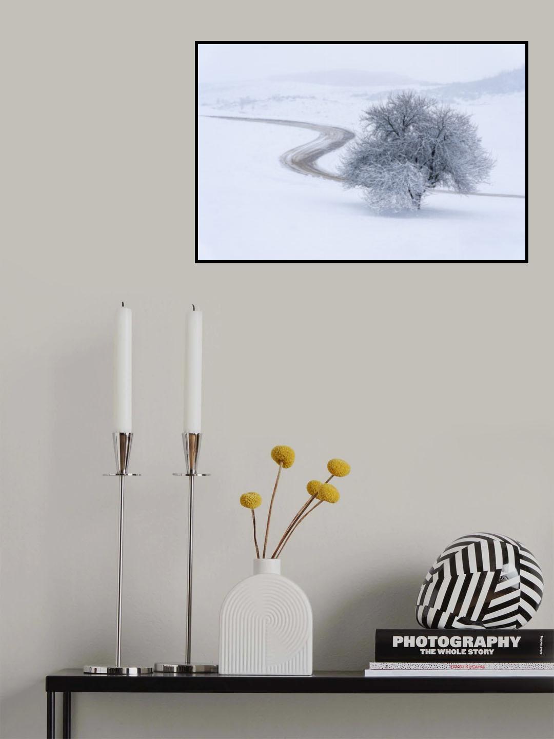 Standing alone Poster och Canvastavla