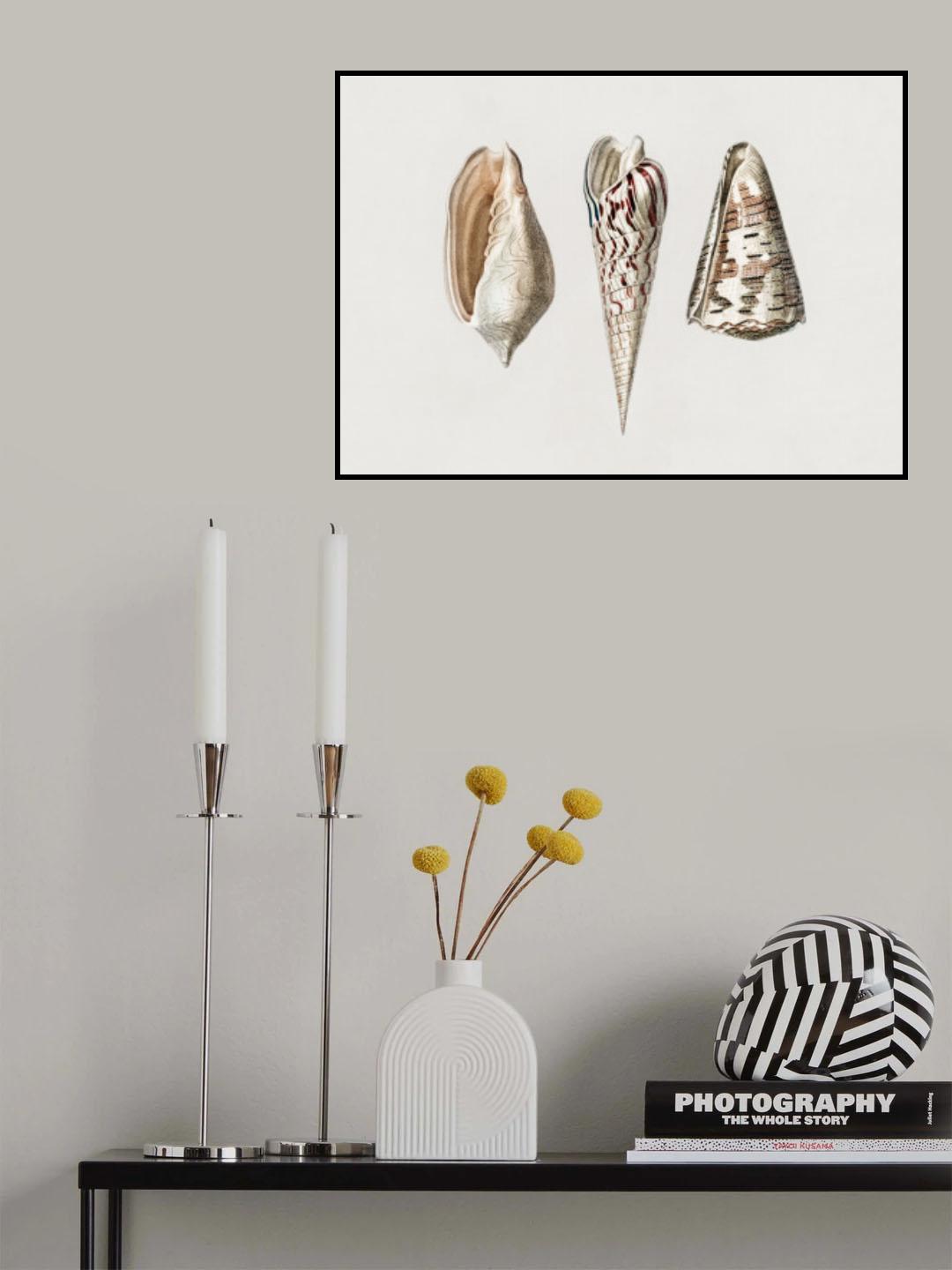 Three Mollusks Crop Poster och Canvastavla