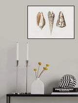 Three Mollusks Crop Poster och Canvastavla