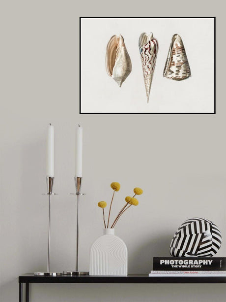 Three Mollusks Crop Poster och Canvastavla