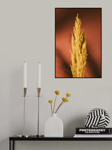 Yellow Grass Rust Poster och Canvastavla