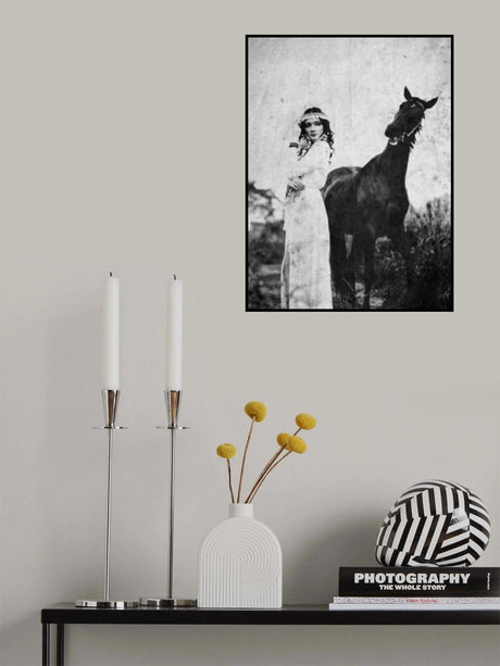 napelu Poster och Canvastavla