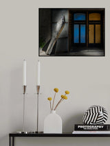 symbolic Poster och Canvastavla