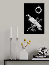 Falcon Peregrine Poster och Canvastavla