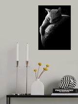 mooncat Poster och Canvastavla