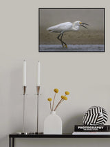 Jump! Poster och Canvastavla