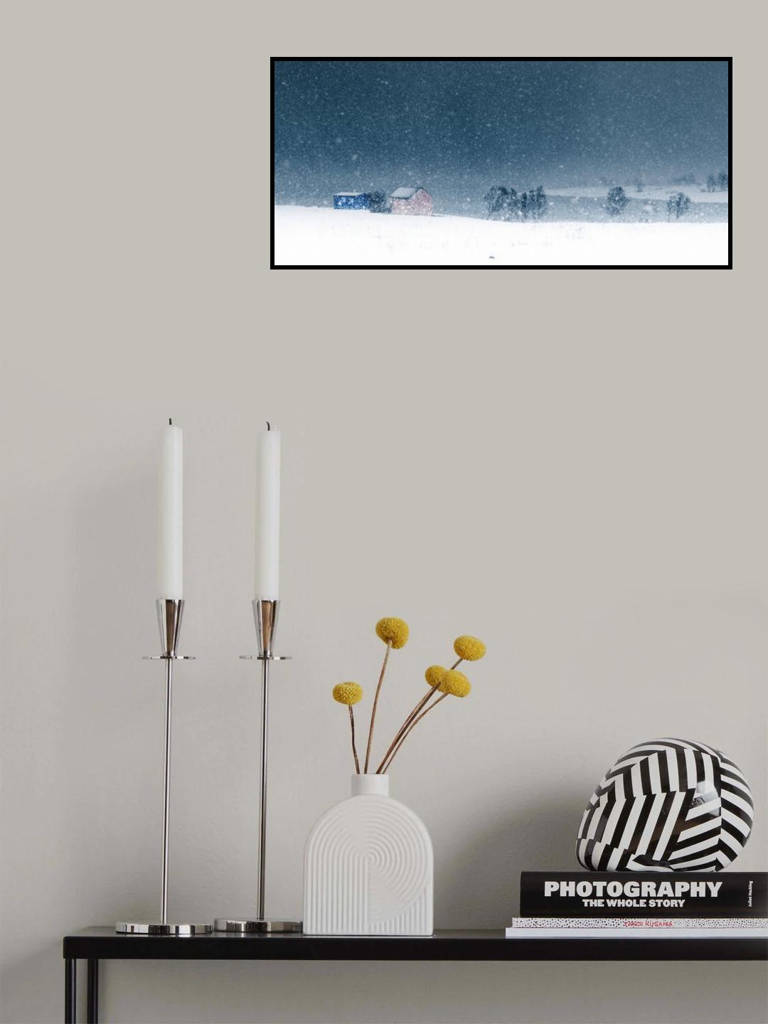 Winter colours Poster och Canvastavla