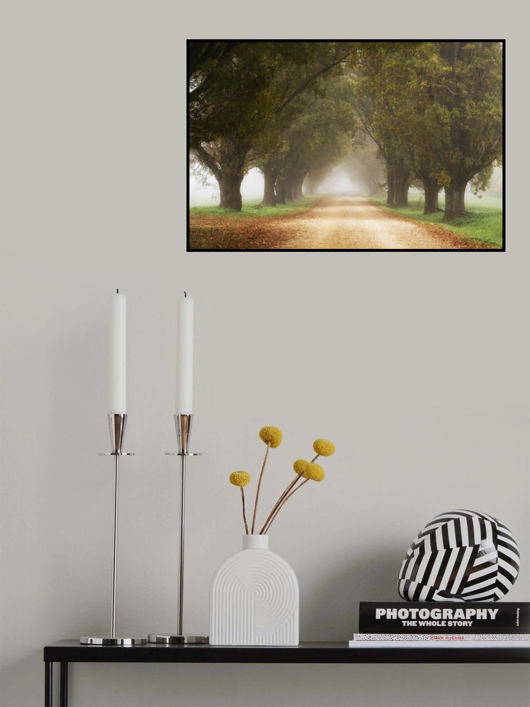 Misty forest Poster och Canvastavla