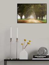 Misty forest Poster och Canvastavla