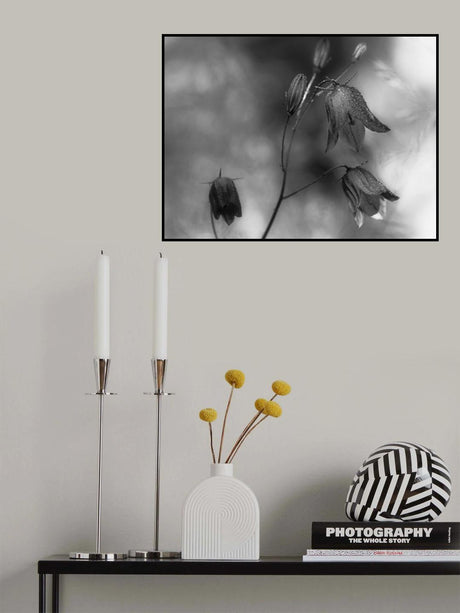Monochrome bluebells Poster och Canvastavla