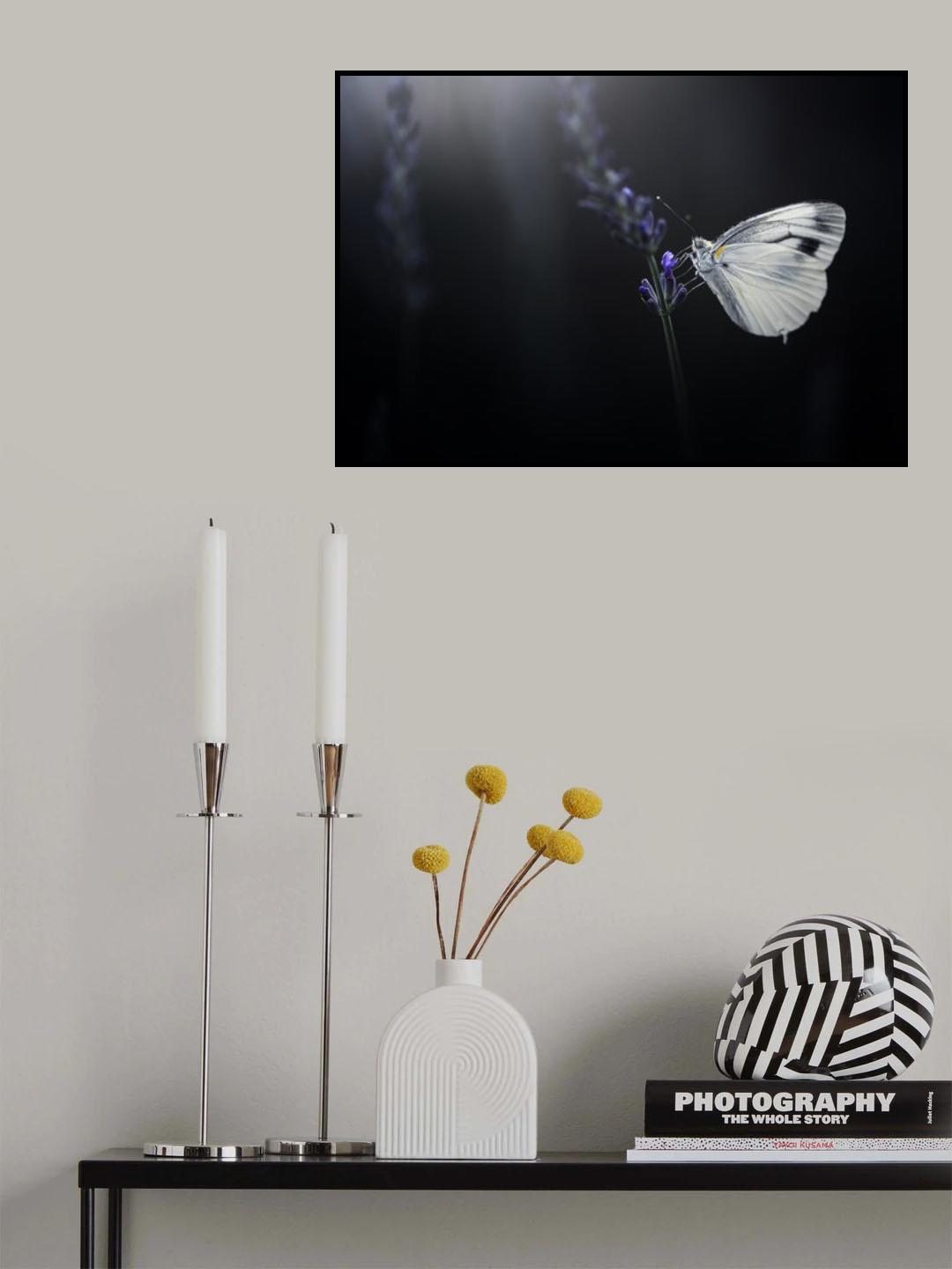 Light and darkness Poster och Canvastavla