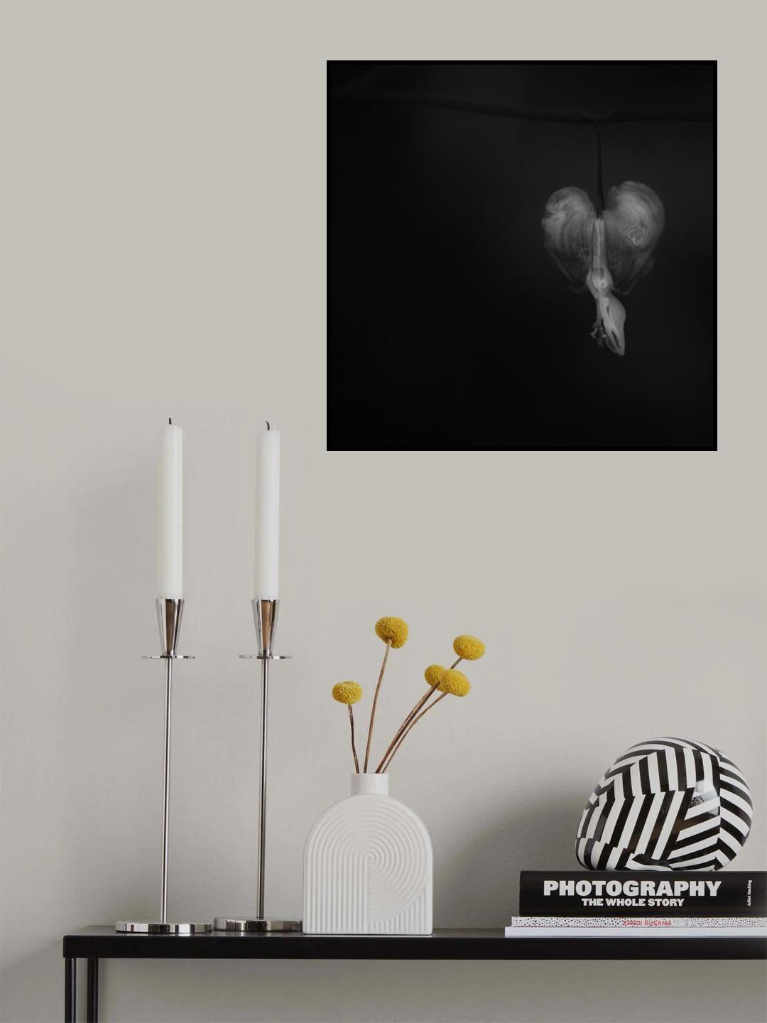 Bleeding heart Poster och Canvastavla