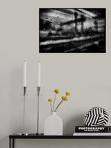 Rain Poster och Canvastavla
