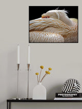 To be half asleep... Poster och Canvastavla