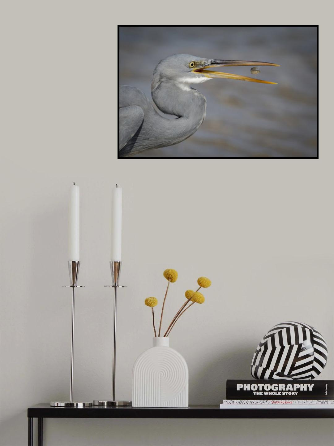 Timing Is Everything ! Poster och Canvastavla