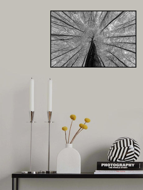 Winter views Poster och Canvastavla