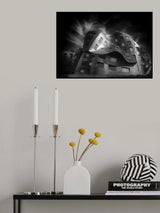 Brain Institute Poster och Canvastavla
