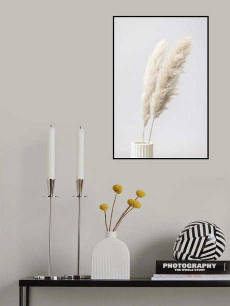 Pampas Grass Grey 11 Poster och Canvastavla