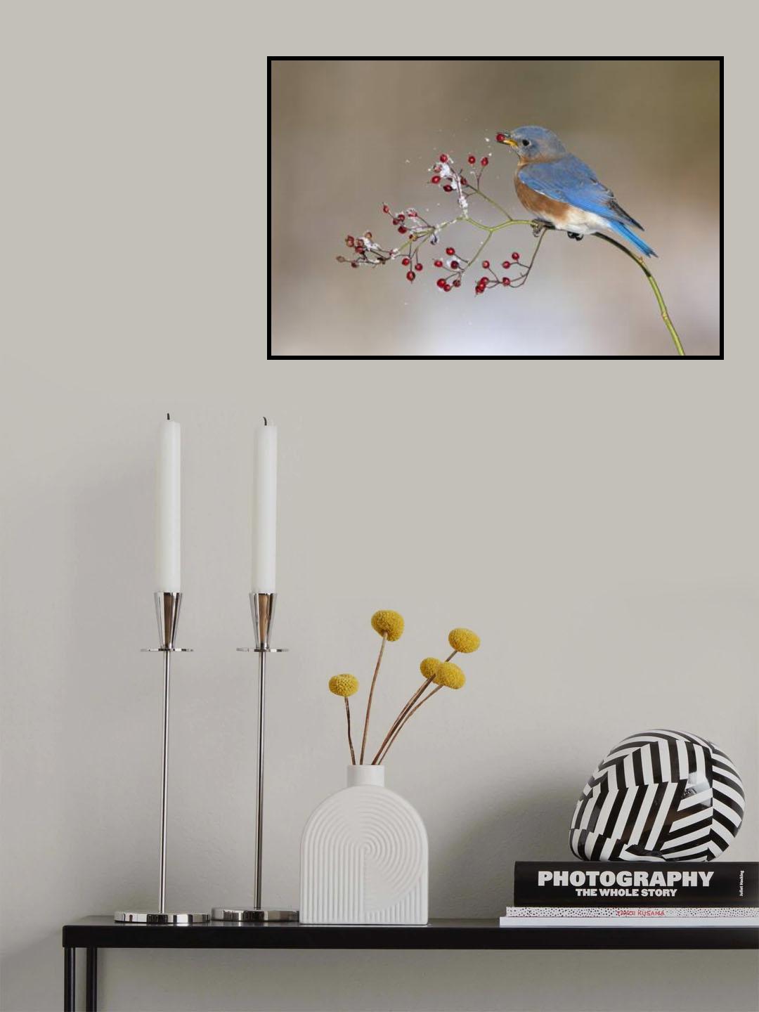 Blue bird in winter Poster och Canvastavla