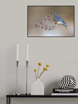 Blue bird in winter Poster och Canvastavla
