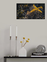 Cross Poster och Canvastavla