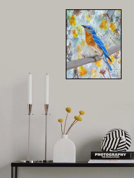 Springtime Eastern Bluebird Poster och Canvastavla