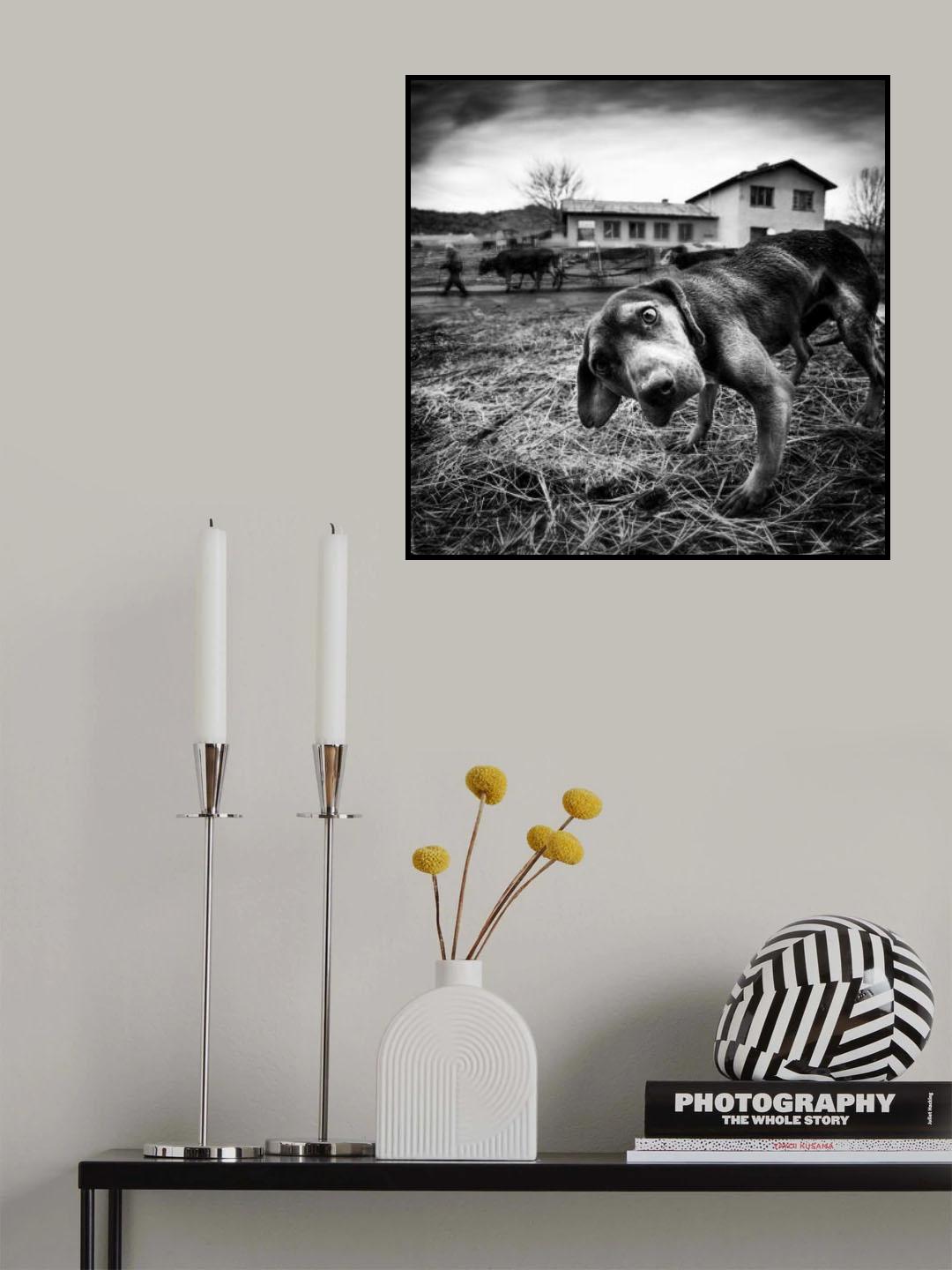 Poster och Canvastavla