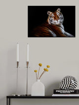 Serenity Poster och Canvastavla