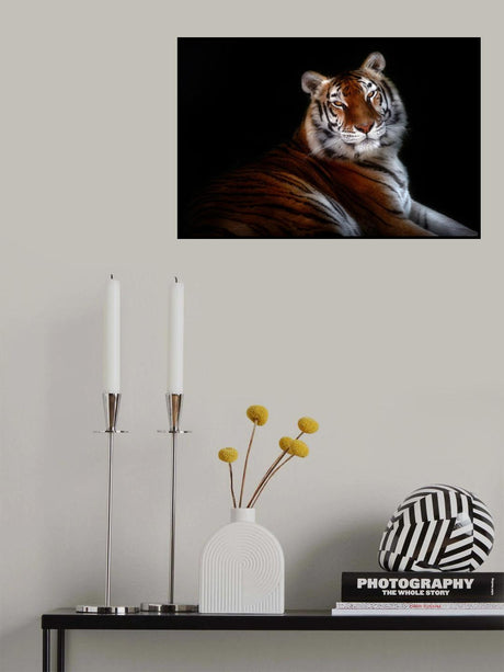 Serenity Poster och Canvastavla