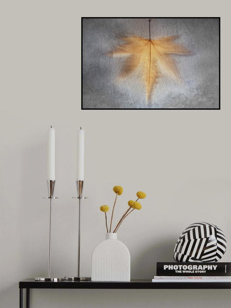 Illusions of the Past Poster och Canvastavla