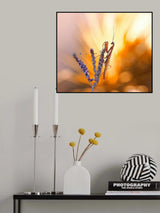 Supernatural appearance... Poster och Canvastavla