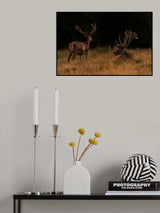 Bedtime my friend Poster och Canvastavla