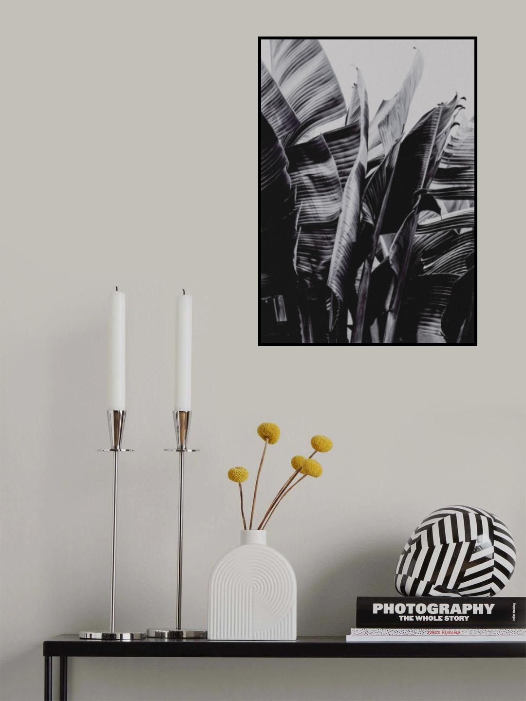 Nicolia Poster och Canvastavla