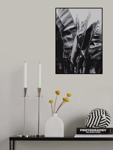 Nicolia Poster och Canvastavla