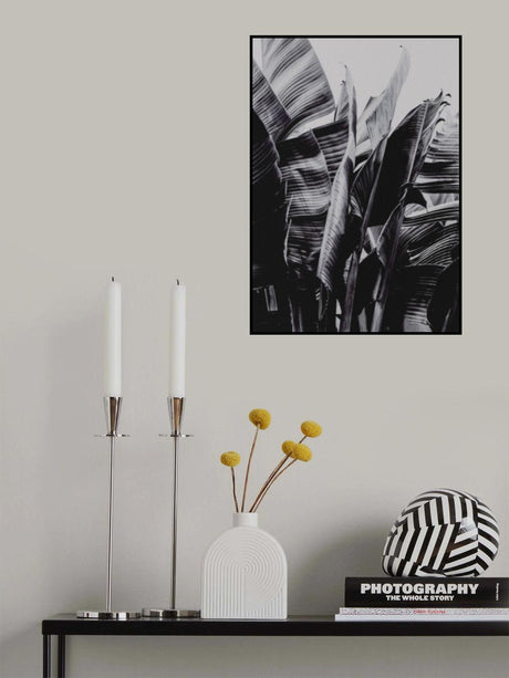 Nicolia Poster och Canvastavla