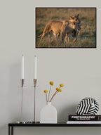 Brothers Poster och Canvastavla
