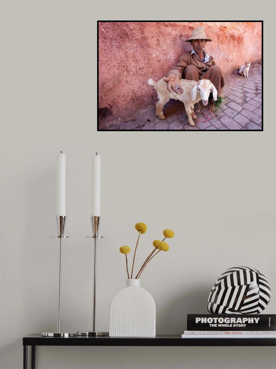 Man, goat and cat Poster och Canvastavla