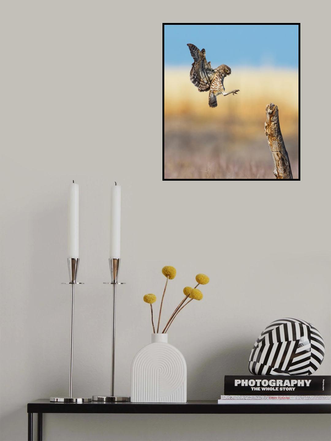 Landing gear out Poster och Canvastavla