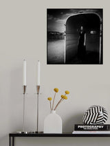 All my pretty little horses Poster och Canvastavla