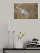 butterfly Poster och Canvastavla