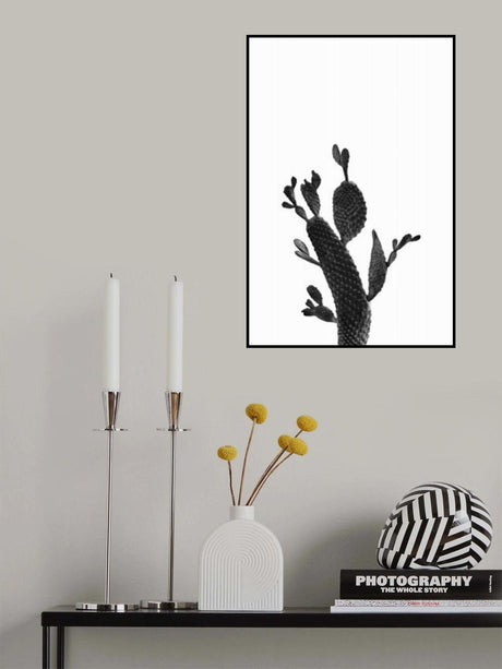 Cactus Black and White 02 Poster och Canvastavla
