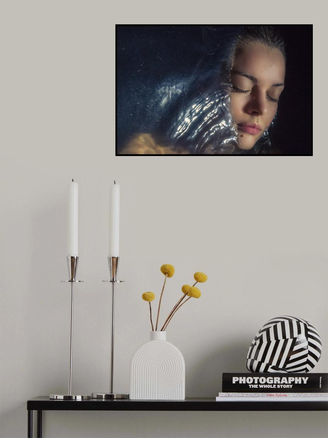 1611 Poster och Canvastavla