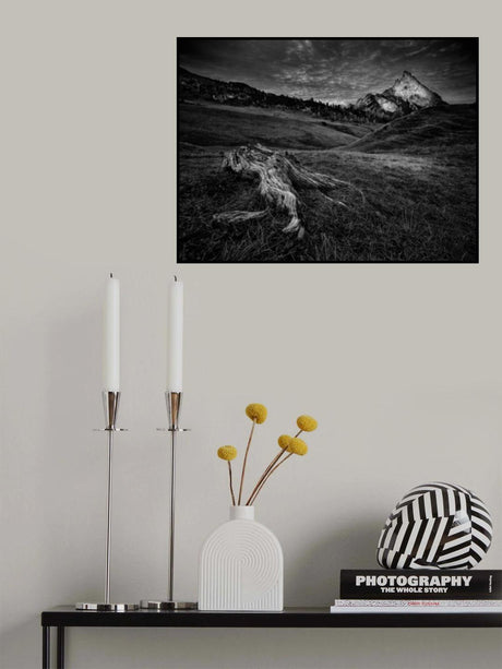last of the mohicans Poster och Canvastavla
