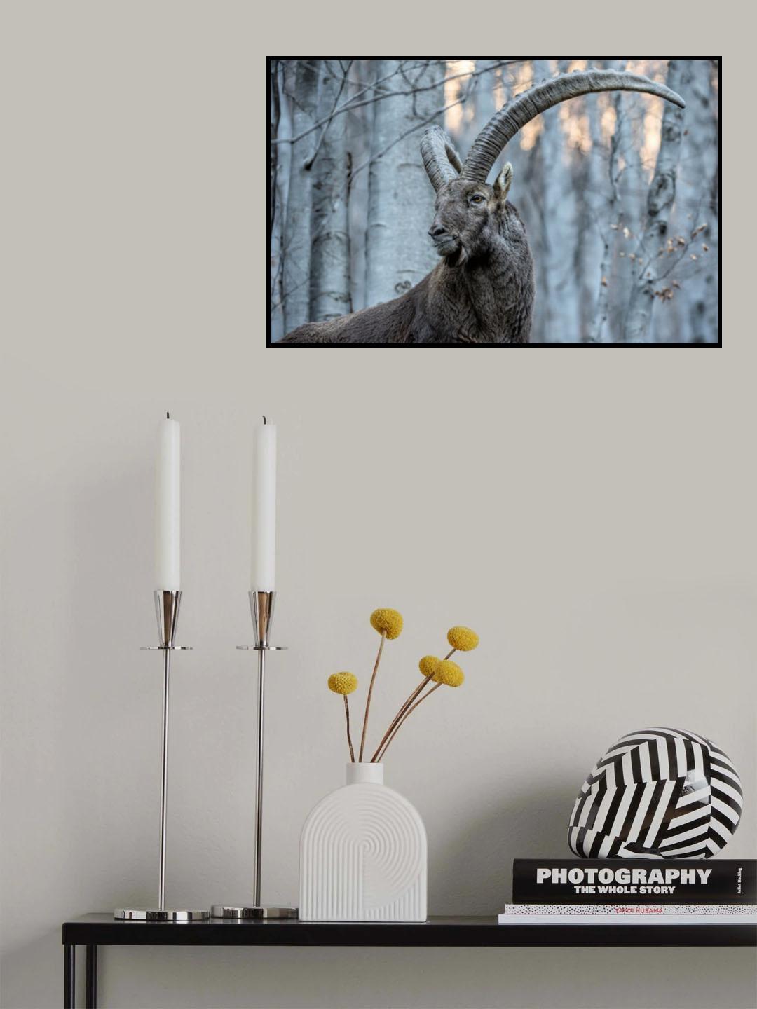 Majesty Poster och Canvastavla