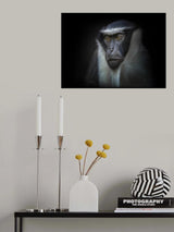 ape Poster och Canvastavla