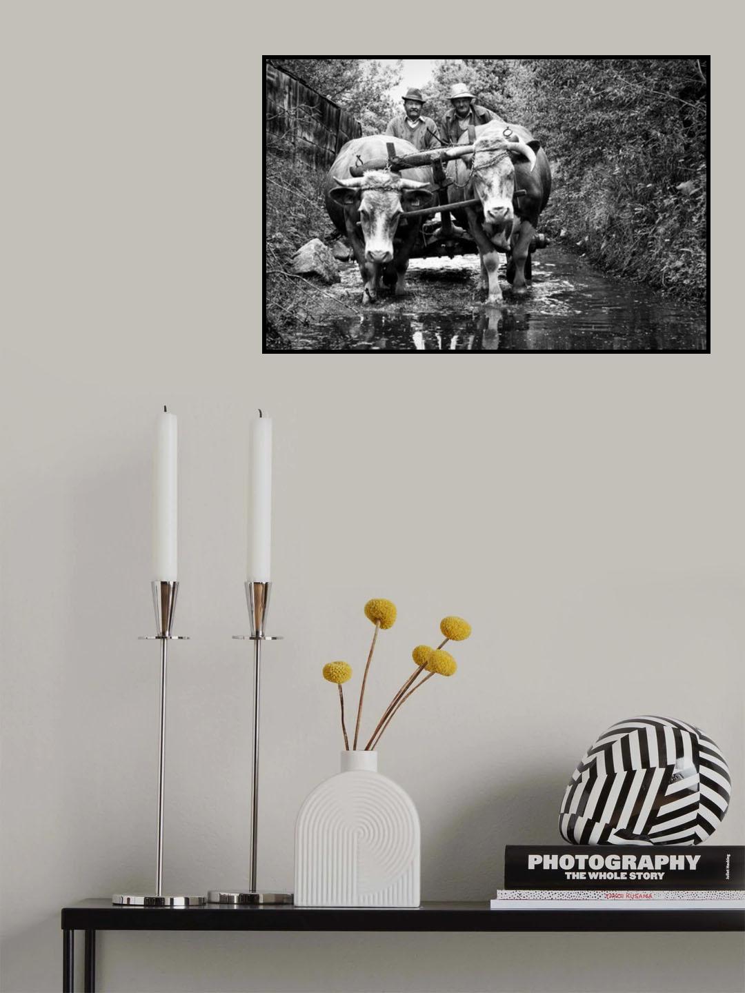 Crossing the stream Poster och Canvastavla