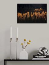 light for a few Poster och Canvastavla