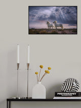 Under the sun rays A731602 Poster och Canvastavla